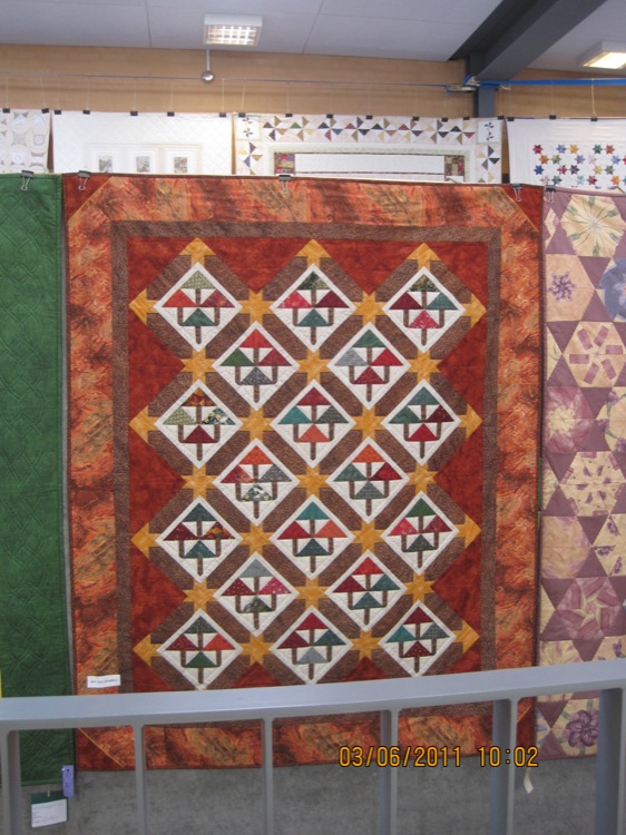 gal/Quiltefestival i Middelfart 2011/Quilts/IMG_2423.JPG
